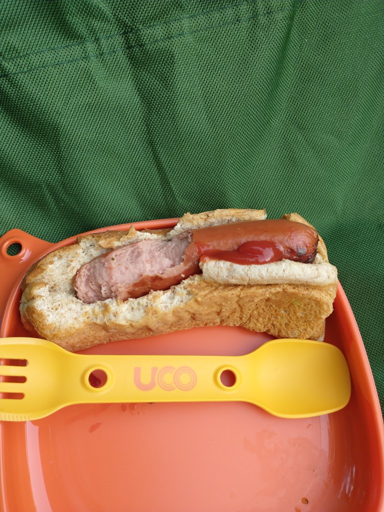 The wrong way to eat a hot dog